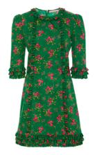 The Vampire's Wife Cate Floral Cotton Mini Dress