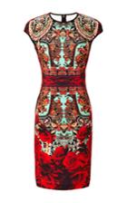 Clover Canyon Rose Matador Printed Neoprene Dress