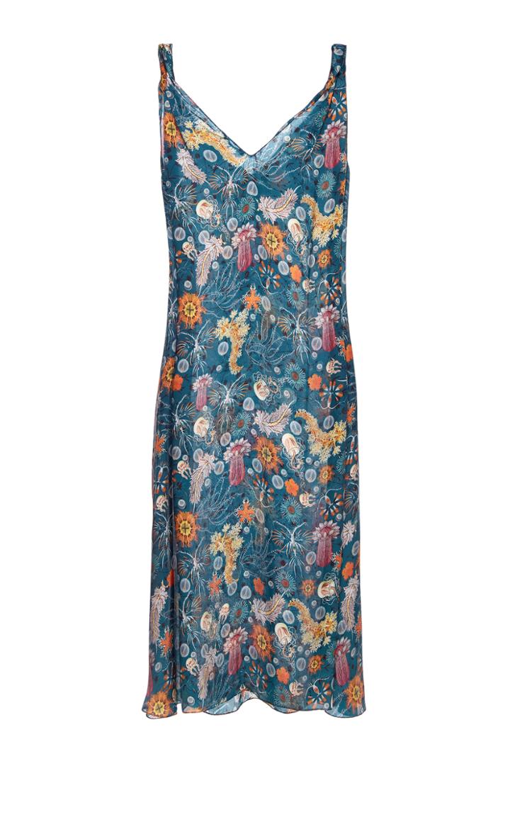 Lake Studio Rolled Dress