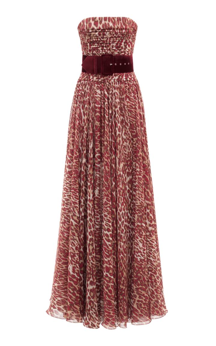 Rasario Draped Leopard-print Chiffon Corset Gown