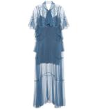 Chlo Embroidered Silk Gown