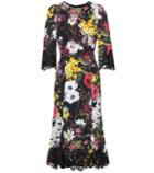 Dolce & Gabbana Lace-trimmed Floral-printed Dress