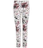 Tod's Sidney Floral-printed Cotton Trousers