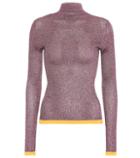 Alexachung Turtleneck Sweater
