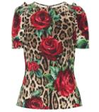Dolce & Gabbana Leopard And Floral-printed Top