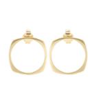 Aliita Aro 9kt Yellow Gold Earrings