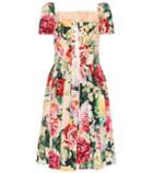 Dolce & Gabbana Floral Cotton Minidress