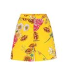 Gucci Floral-printed Cotton Shorts