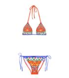 Balenciaga Printed Triangle Bikini