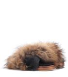 Mr & Mrs Italy Fur Slides