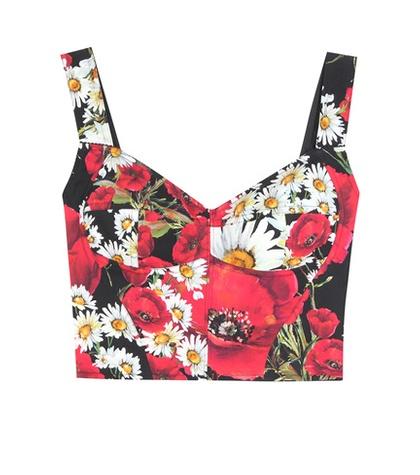 Dolce & Gabbana Silk-blend Printed Bra Top