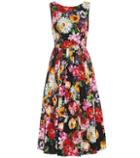 Dolce & Gabbana Floral Cotton Midi Dress