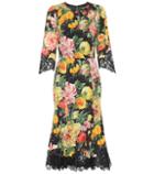 Dolce & Gabbana Lace-trimmed Floral Dress