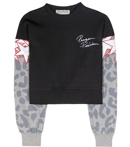 Loro Piana Printed Cotton Sweatshirt