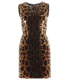 Dolce & Gabbana Leopard-print Velvet Dress