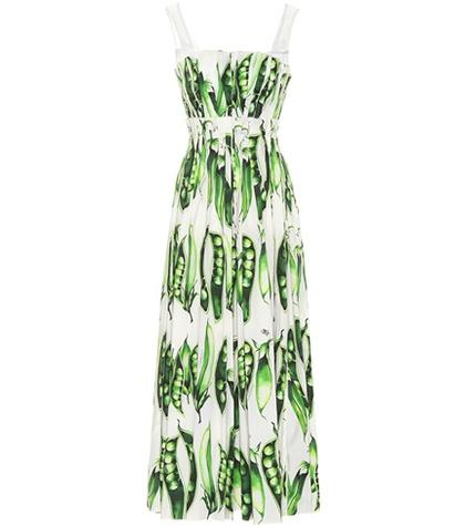 Dolce & Gabbana Printed Stretch-cotton Dress