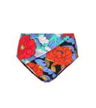 Diane Von Furstenberg Floral-printed Bikini Bottoms