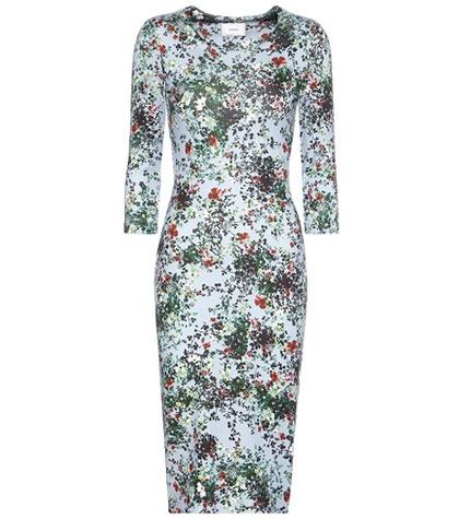 Erdem Allegra Printed Dress