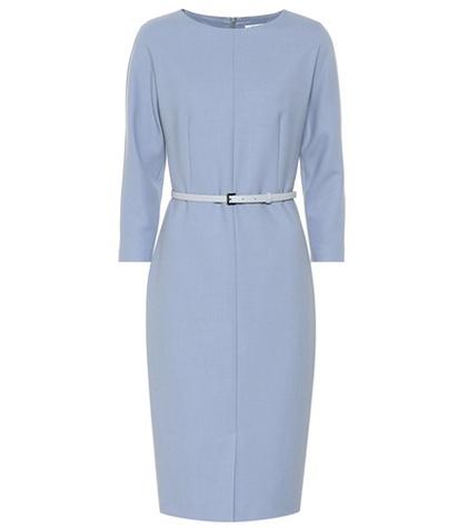 Max Mara Karub Stretch Wool Crêpe Dress