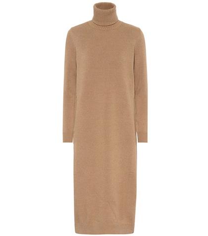 Max Mara Agio Wool And Cashmere Dress