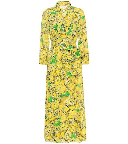 Diane Von Furstenberg Printed Cotton And Silk Maxi Dress