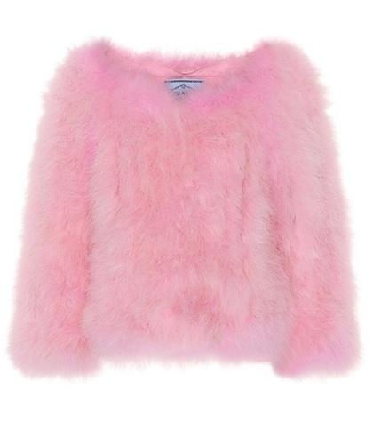 Alexander Mcqueen Feather Jacket