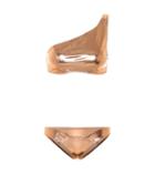 Lisa Marie Fernandez Arden Metallic Bikini