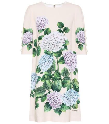 Dolce & Gabbana Floral-printed Mini Dress
