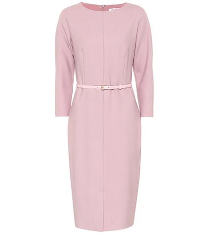 Max Mara Karub Stretch Wool Dress