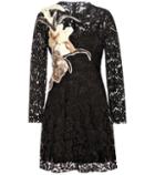 Valentino Cotton-blend Lace Dress