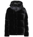 Dolce & Gabbana Caille Velvet Puffer Jacket