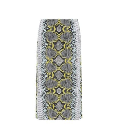 Salvatore Ferragamo Snakeskin-printed Pencil Skirt
