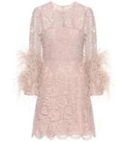 Rejina Pyo Feather-trimmed Lace Minidress