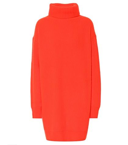 Christopher Kane Turtleneck Cashmere Sweater