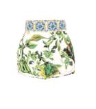 Dolce & Gabbana High-rise Printed Cotton Shorts