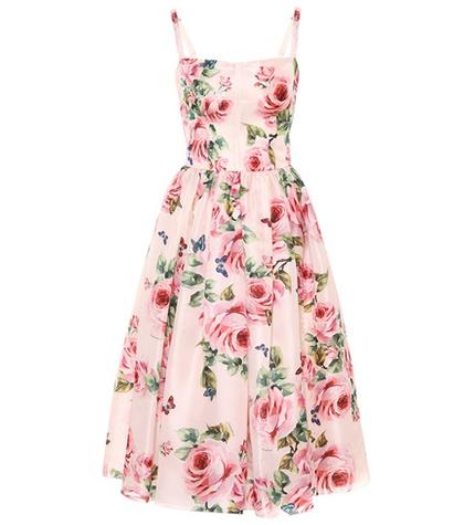 Dolce & Gabbana Rose-print Silk Dress