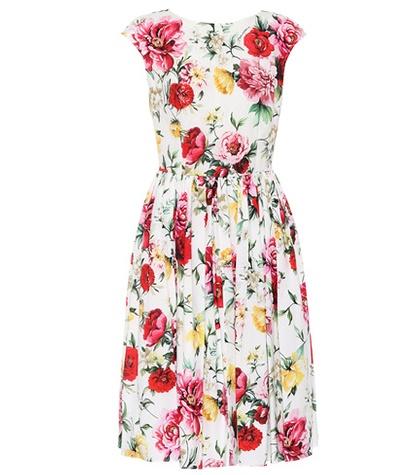 Roger Vivier Floral-printed Cotton Dress