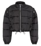 3.1 Phillip Lim Cropped Puffer Jacket