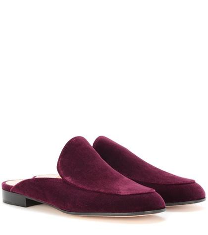 Gianvito Rossi Palau Velvet Mules