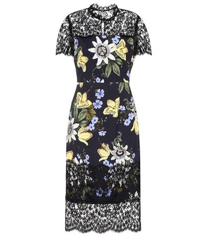Erdem Keni Floral-printed Dress