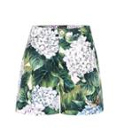 Dolce & Gabbana Cotton Shorts With Appliqué