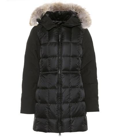 Nicholas Kirkwood Beechwood Fur-trimmed Parka