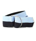 Golden Goose Deluxe Brand Striped Belt