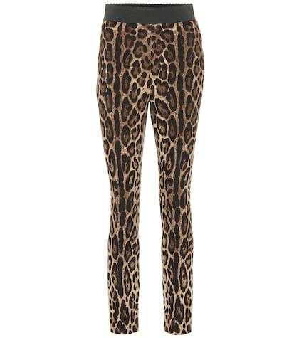 Dolce & Gabbana Leopard-print Stretch Leggings