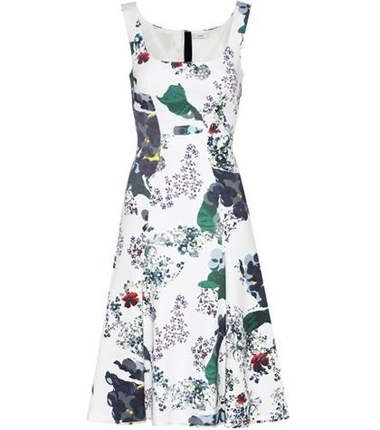 Erdem Tate Printed Dress