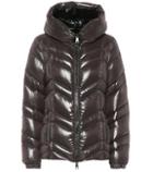 Dolce & Gabbana Fuligule Down Jacket