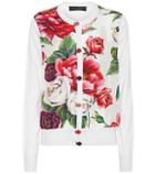 Dolce & Gabbana Floral-printed Silk Cardigan