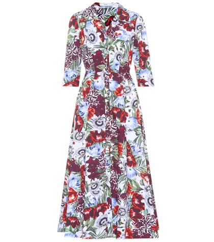 Erdem Kasia Floral-printed Cotton Dress