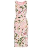 Dolce & Gabbana Floral Cady-crêpe Dress