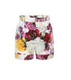 Dolce & Gabbana Floral-printed Cotton Shorts